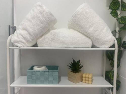 two towels sitting on a shelf with a plant at Apartamento en Toledo ideal para visitas a Puy du Fou in Toledo