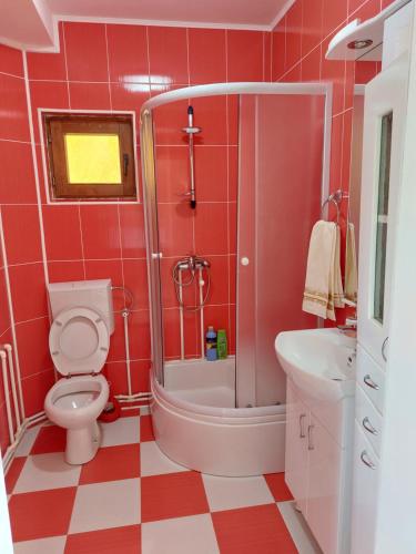 a bathroom with a toilet and a shower and a sink at Apartman Žabljak in Žabljak