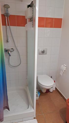 a small bathroom with a toilet and a shower at studio plage de l'anse caritan in Sainte-Anne