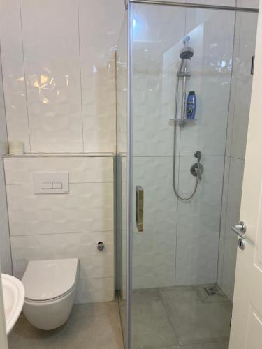 a bathroom with a shower with a toilet and a sink at Apartment Ferizaj in Velipojë