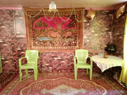 a room with two chairs and a table and a rug at Hotel Island in Srinagar