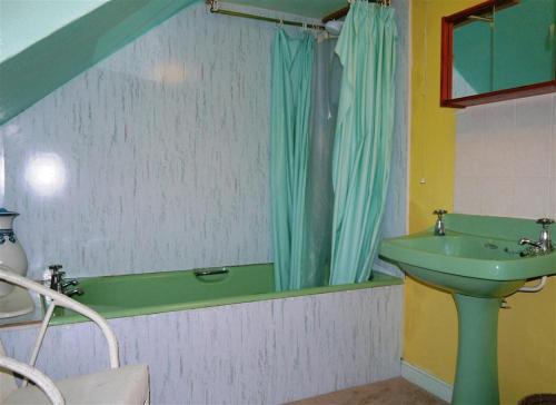 a bathroom with a sink and a green shower curtain at Ailsa Cottage in Newton Stewart