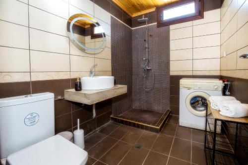 a bathroom with a toilet and a sink and a shower at Casa Monte in Theológos