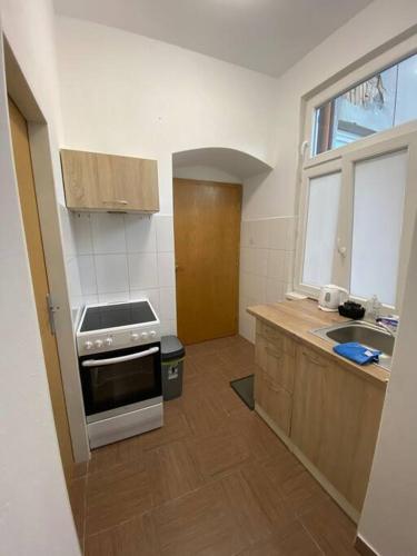 uma pequena cozinha com um fogão e um lavatório em Cozy 1 BR studio in the center of Pilsen em Plzeň