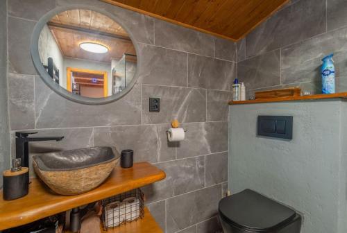 bagno con lavandino e specchio di Wellness chata Chalet de Glatz a Komorní Lhotka