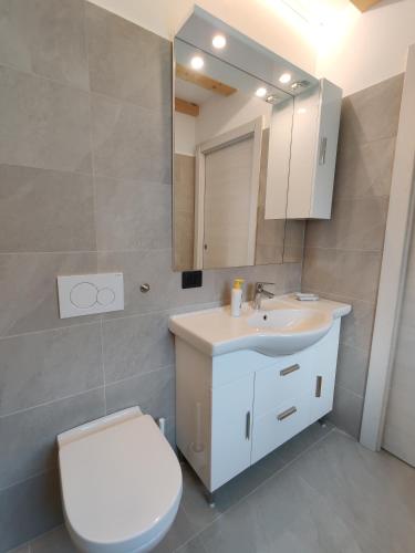 a bathroom with a toilet and a sink and a mirror at Casa Venere in Ospedaletto