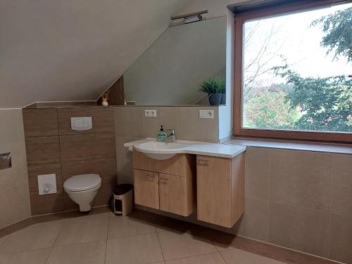 ein Bad mit einem Waschbecken, einem WC und einem Fenster in der Unterkunft Alpensonne in Achberg