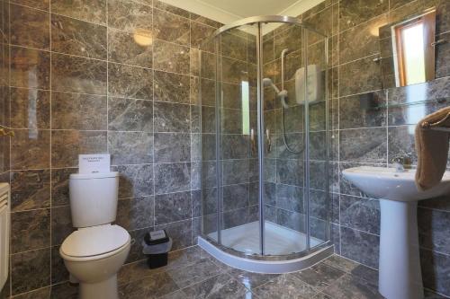 a bathroom with a shower and a toilet and a sink at Honeysuckle, Colvend in Rockcliffe