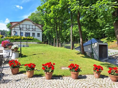 a group of potted flowers inront of a house at Pensjonat Petite Charlotta in Jedlina-Zdrój