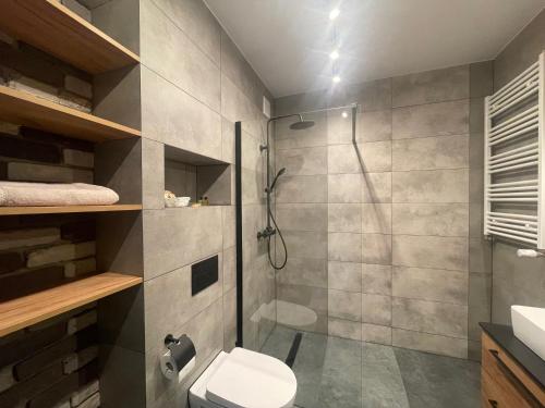 uma casa de banho com um chuveiro e um WC. em Apartamet Poezji A04 Blue em Gliwice