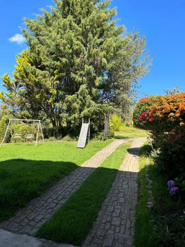 einen Kopfsteinpflasterweg in einem Garten mit einem Baum in der Unterkunft Carpe Diem in Zacatlán