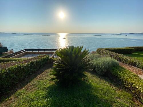 a view of the ocean with a palm tree at Elenos Villa in Possidi