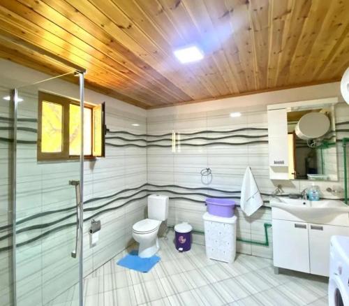 y baño con aseo y lavamanos. en HIGHLANDER HOUSE VERMOSH, en Vermosh