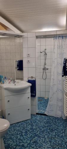 ein Bad mit einem Waschbecken und einer Dusche in der Unterkunft IQBAL-Hütte FeWo Appartement - Ankerplatz in Beverstedt