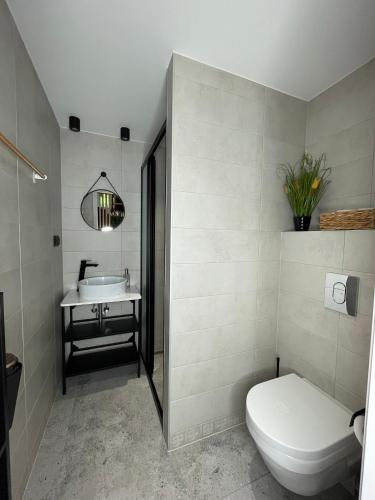 a bathroom with a toilet and a sink at Toila Pikk Apartment in Toila