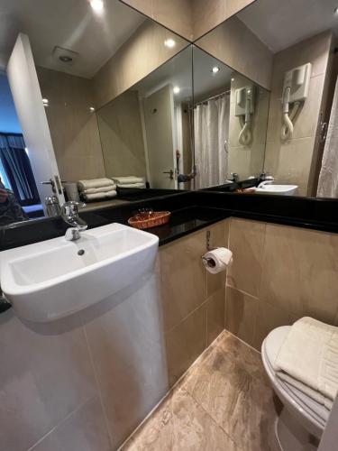 een badkamer met een wastafel, een toilet en een spiegel bij Garden View Hotel in Londen