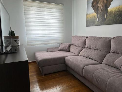 uma sala de estar com um sofá e uma fotografia de um elefante em Ensino 22 em Ourense