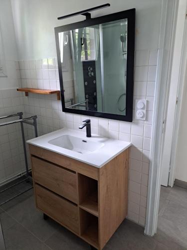 une salle de bain avec un lavabo et un miroir dans l'établissement Maison Biscarrosse plage 500m de l océan, à Biscarrosse