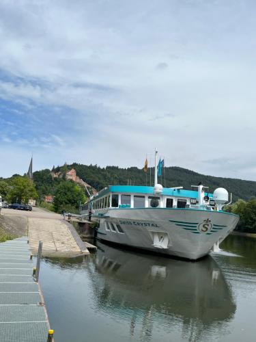 un bateau est amarré à un quai dans l'eau dans l'établissement Natur und Neckarblick bei Heidelberg, à Hirschhorn