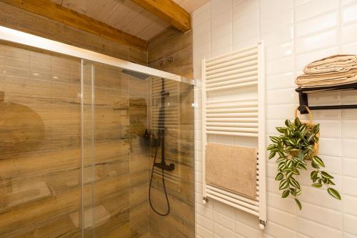 een douche met een glazen deur in de badkamer bij Apartamentos Gurugú in Ribadeo