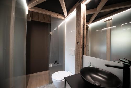 ein Bad mit einem schwarzen Waschbecken und einem WC in der Unterkunft Moon - Tiny house from Callin Wines in Sežana