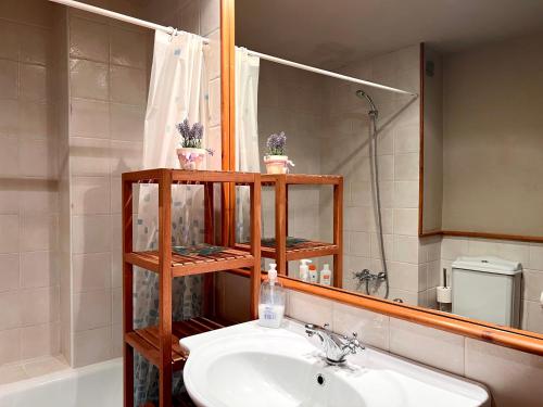 a bathroom with a sink and a mirror at Apartament Els Raiers in Rialp