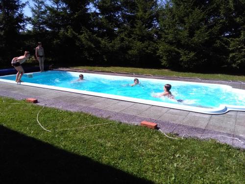 un groupe de personnes dans une piscine dans l'établissement Gospodarstwo Agroturystyczne Wólka 34, à Filipów