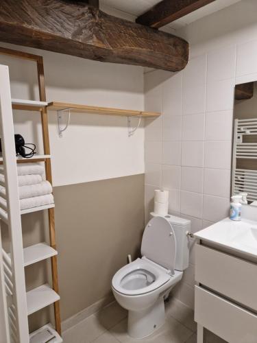 La salle de bains est pourvue de toilettes et d'un lavabo. dans l'établissement Le Grand Cerf - 4 Couchages, à Nalzen