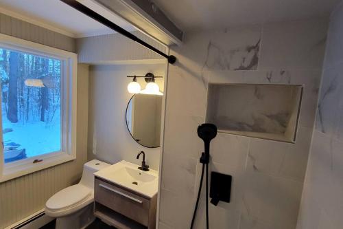 a bathroom with a sink and a toilet and a mirror at Stratton Tree House in Strattonwald