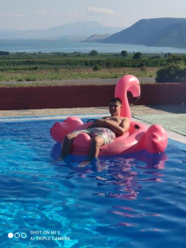 a man sitting on a pink flamingo in a pool at ΠΕΡΙ ΑΝΕΜΩΝ in Zérvi