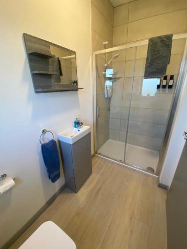 a bathroom with a shower and a toilet and a sink at Hill Top View Apartment Lahinch in Lahinch