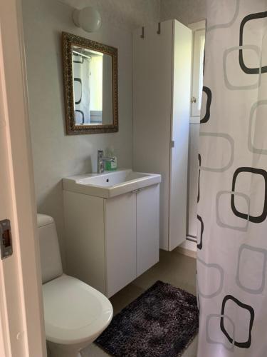 a bathroom with a toilet and a sink and a mirror at Lägenhet på Strömsholm in Jönköping