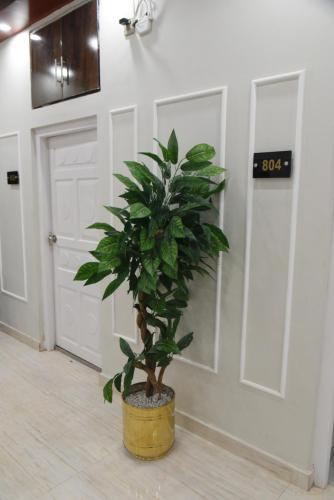 a plant in a pot in a room with a door at Hotel white season Gulberg in Lahore
