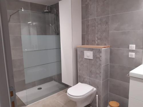 une salle de bain avec toilettes et douche dans l'établissement Appart Cosy proche de La Rochelle, à Périgny