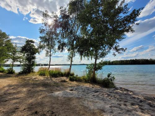 a group of trees on the shore of a lake at Ferienwohnung Melanie Wackersdorf in Wackersdorf