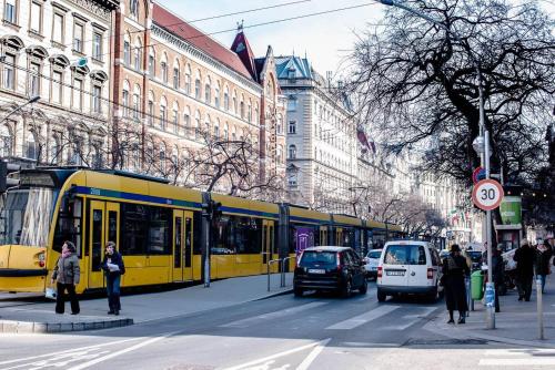 Very central NEW and large AC apartment