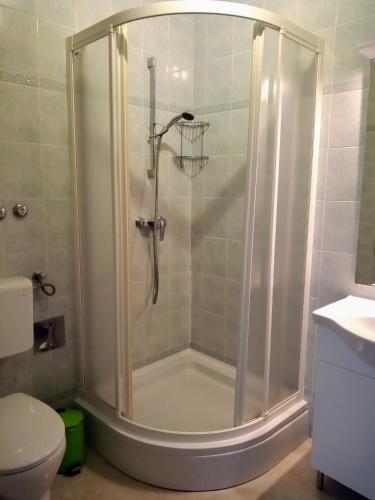 a shower stall in a bathroom with a toilet at Apartmani Brkic - Seaview apartments - Sand beach in Nin