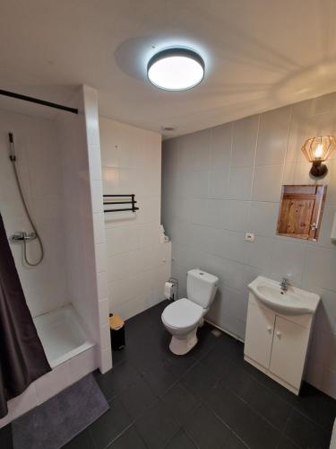 a bathroom with a toilet and a shower and a sink at Gościniec Błogocice in Cieszyn