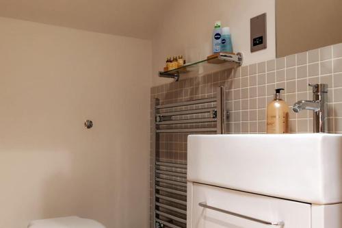 a bathroom with a sink and a white refrigerator at Stunning lodge in idyllic rural Herefordshire in Dorstone