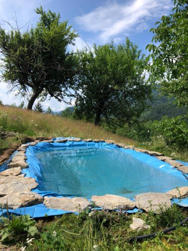 Πισίνα στο ή κοντά στο Екоферма Семенюк