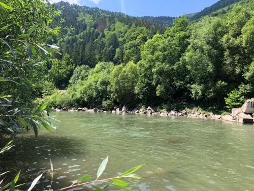 Φυσικό τοπίο κοντά σε αυτό το σαλέ