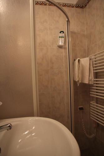 a bathroom with a shower and a white sink at Dulakówka - domek na każdą pogodę in Piwniczna-Zdrój