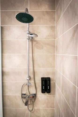 une douche avec pommeau de douche dans une salle de bain dans l'établissement L'Albatros 011 - Hypercentre * Cosy * Wifi, à Saint-Quentin