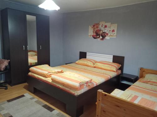 a bedroom with two beds and a mirror at Kuca Jablansko Polje in Krepoljin