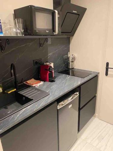 une cuisine avec un évier et un micro-ondes dans l'établissement Studio équipé en rez de jardin, à Villeurbanne