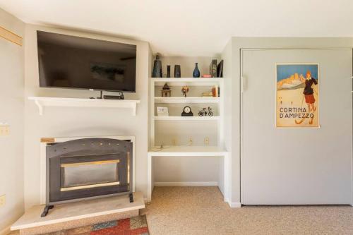a living room with a fireplace and a flat screen tv at SKIING, HIKING, VILLAGE OF EVILLE MTN ESCAPE in Ellicottville