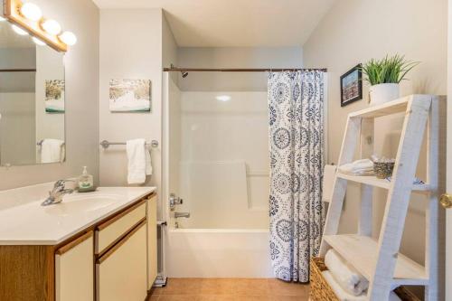 uma casa de banho com um lavatório e um chuveiro em SKIING, HIKING, VILLAGE OF EVILLE MTN ESCAPE em Ellicottville