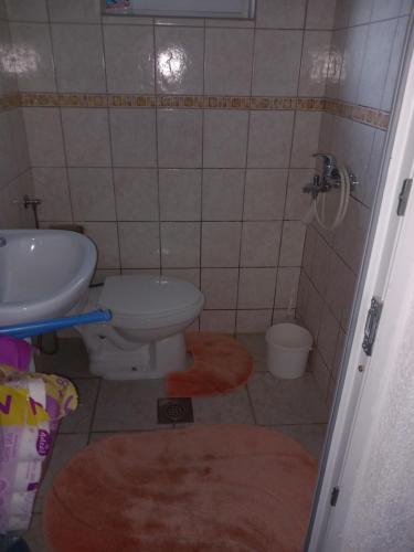 ein Bad mit einem WC und einem Waschbecken in der Unterkunft Holidaymakers Bosanska Krupa in Bosanska Krupa