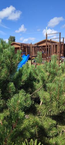 a blue slide in front of a house with trees at Pas Jūratę namelių nuoma Šventojoje in Šventoji