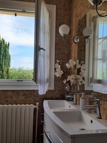 a bathroom with a sink and a window at A la Volette in Pouillé